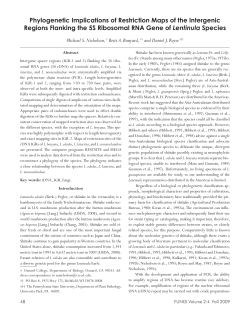Phylogenetic Implications of Restriction Maps of the Intergenic