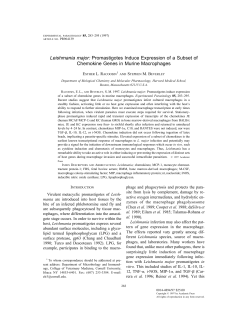 Leishmania major: Promastigotes Induce