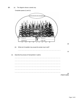(a) The diagram shows a cereal crop. Complete spaces (i) and (ii).