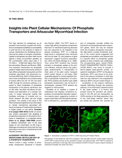 Insights into Plant Cellular Mechanisms: Of Phosphate Transporters