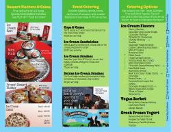 Ice Cream Flavors Vegan Sorbet Greek Frozen Yogurt