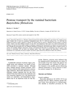 Pentose transport by the ruminal bacterium Butyrivibrio fibrisolvens
