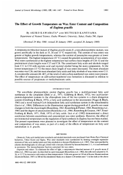 of Euglena gracilis