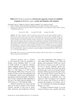 Effect of Echinacea purpurea (Asteraceae