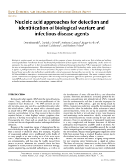 Nucleic acid approaches for detection and identification of biological