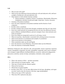 Study Guide Exam 2 - Napa Valley College