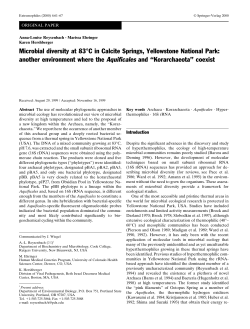 Microbial diversity at 83&deg;C in Calcite Springs, Yellowstone National