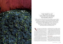 the birth of soufre raisonn&eacute; in burgundy