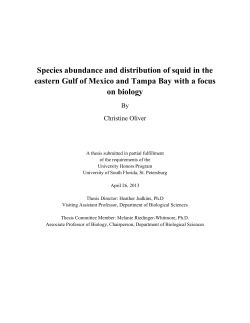 Species abundance and distribution of squid