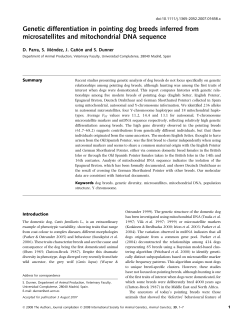 Genetic differentiation in pointing dog breeds inferred