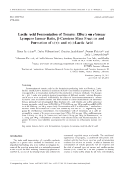 Lactic Acid Fermentation of Tomato: Effects on cis/trans Lycopene