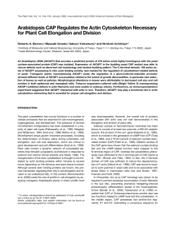 Arabidopsis CAP Regulates the Actin Cytoskeleton