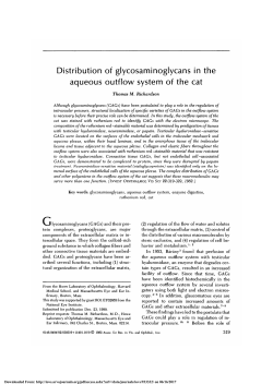 Distribution of glycosaminoglycans in the aqueous outflow