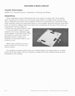 Building A Basic Circuit