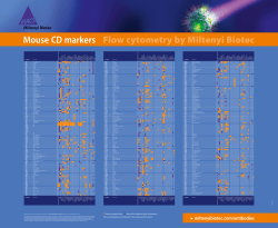 Mouse - Miltenyi Biotec