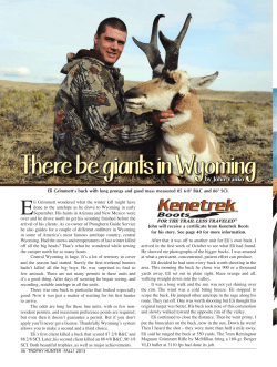 There be giants in Wyoming