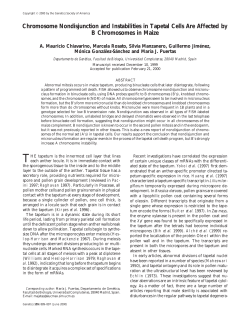 Chromosome Nondisjunction and Instabilities in Tapetal Cells Are