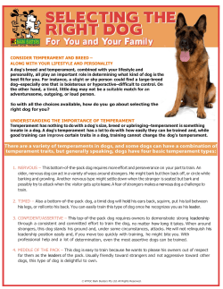 CONSIDER TEMPERAMENT AND BREED