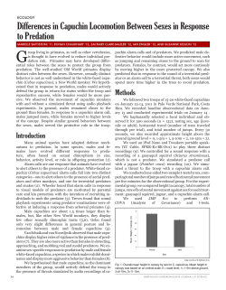 Differences in Capuchin Locomotion Between Sexes in Response to