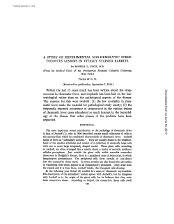 A STUDY OF EXPERIMENTAL NON-HEMOLYTIC STREP