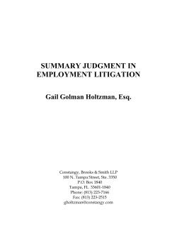 summary judgment in - American Bar Association