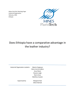 Does Ethiopia have a comparative advantage in the leather