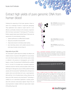 Extract high yields of pure genomic DNA from human blood