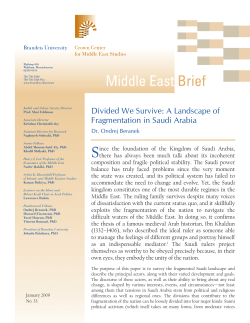 Divided We Survive: A Landscape of Fragmentation in Saudi Arabia
