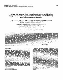 Biochimie, 73, 879-86 (1991) - Weizmann Institute of Science