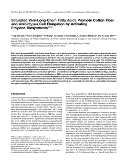Saturated Very-Long-Chain Fatty Acids Promote Cotton Fiber and