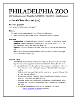 Animal Classification (3-5)