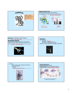 Cnidarian Body Forms &bull;Both body plans show radial symmetry