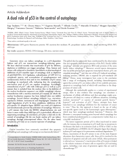 A dual role of p53 in the control of autophagy
