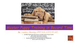 Master Puppy Training - Gone to the Dogs Salida