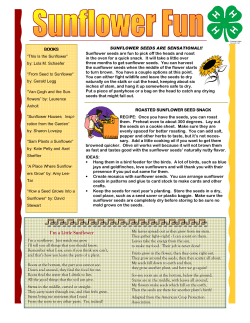 Sunflower Fun - St. Clair County