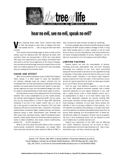 hear no evil, see no evil, speak no evil?