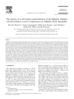The success of a soft-release reintroduction of the flightless Aldabra