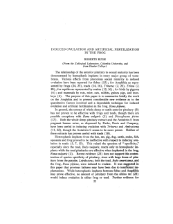 as a PDF