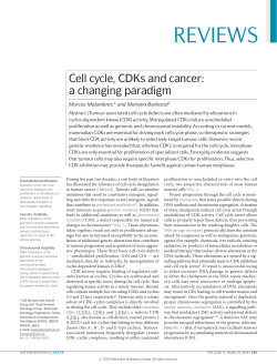 Cell Cycle, CDK`s and cancer