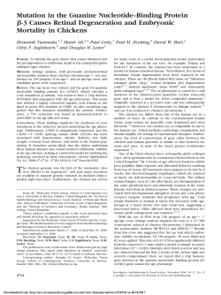 Mutation in the Guanine Nucleotide&ndash;Binding Protein &beta;-3