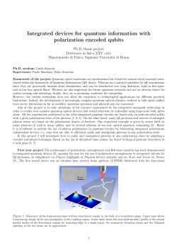 Integrated devices for quantum information with polarization