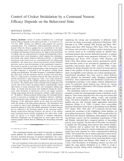 Control of Cricket Stridulation by a Command Neuron: Efficacy