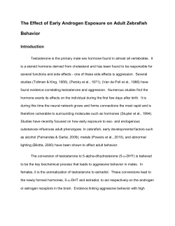 Project-AY - The University of Akron