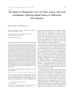 The Shapes of Phylogenetic Trees of Clades, Faunas, and