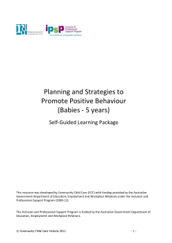 Planning and Strategies to Promote Positive