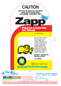 Zapp POUR-ON LOUSICIDE FOR SHEEP