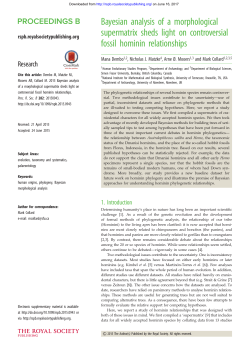Bayesian analysis of a morphological supermatrix sheds light on