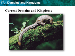 Current Domains and Kingdoms