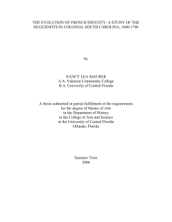 the evolution of french identity