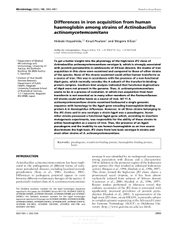 Differences in iron acquisition from human haemoglobin among